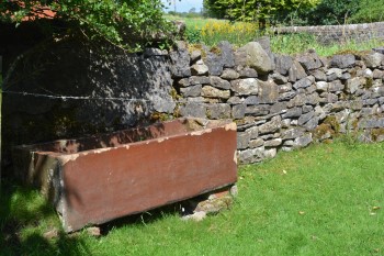 12 Newby trough field side