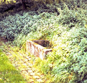9 Halsteads trough in 2009 before it was moved